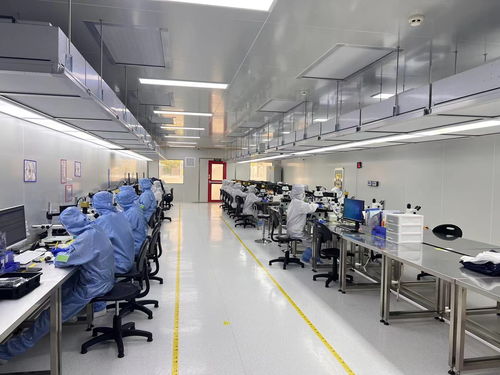 聚优 强磁场 激活 新动能 禹会勇当高质量发展排头兵先行者