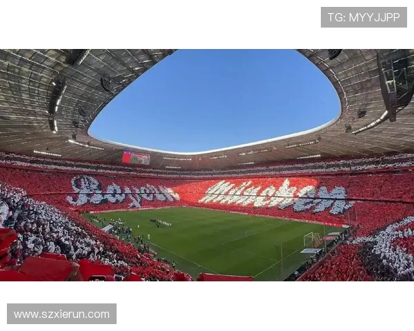 德甲各大球队主场球馆名称与所在地