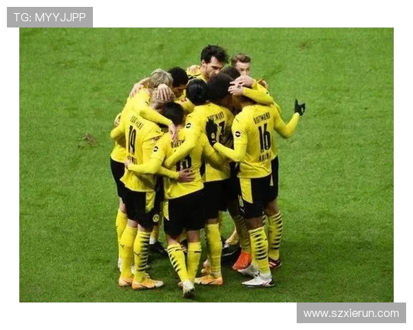 德甲联赛天才球员分布及所效力球队数量分析