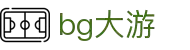BG大游(集团)唯一官方网站